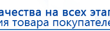 Прибор Дэнас ПКМ купить в Ивдели, Аппараты Дэнас купить в Ивдели, Дэнас официальный сайт denasolm.ru